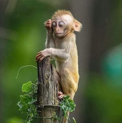 seekerandsolver's profile picture. Academic, Entrepreneur, Seeker, Solver and Educator..