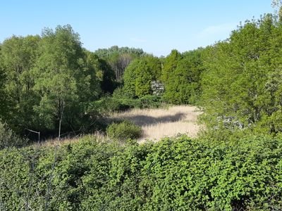 Thijs69384072's profile picture. Bioloog,Natuurliefhebber,Jurist,Formule 1