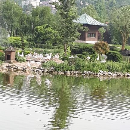 MevlutSengur's profile picture. 