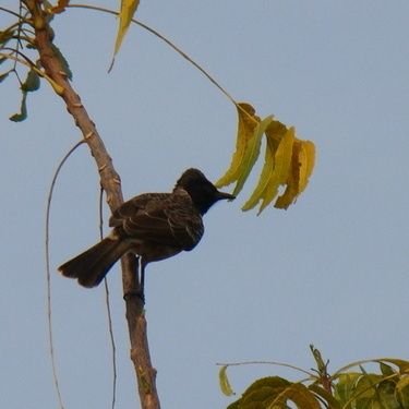 Bhuvanayounus's profile picture. Humanism matters