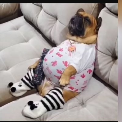 MarkAntnio2's profile picture. Estudante de sistema da informação