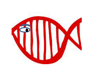 RedGene27's profile picture. Seeker of truth and honesty and a good cup of coffee.