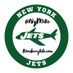 NYJ MIKE (@NyjMike) Twitter profile photo