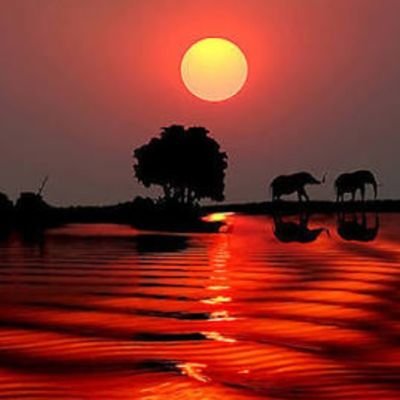 kafama_gore11's profile picture. 