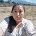 Leticia Hernández Lorenzana (@leticiahl4) Twitter profile photo Leticia Hernández Lorenzana (@leticiahl4) Twitter profile photo