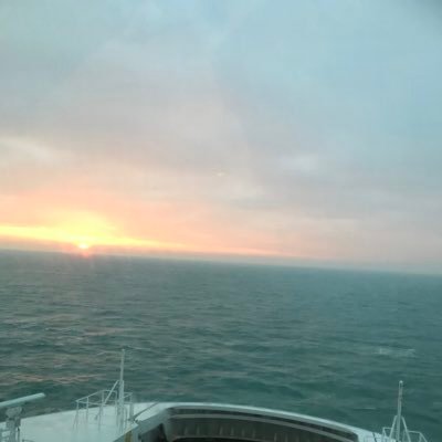 AmiMfl's profile picture. Send language teacher, Massage therapist, Aromatherapist.