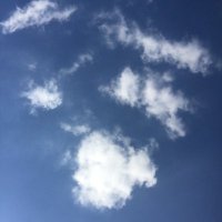 DodgΞThis (@_dodge_this) 's Twitter Profile