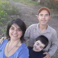 Gustavo N Ferraris (@gustaferraris) 's Twitter Profile