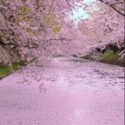 sa00_morning's profile picture. 静かな岡の熱い海 出身者