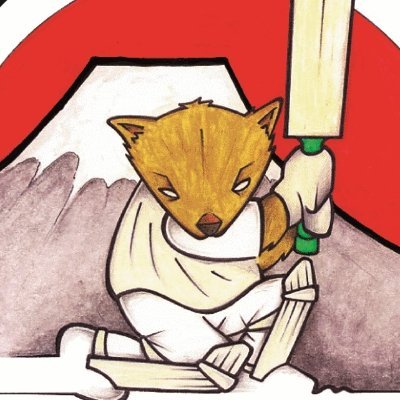 Official account of the Tokyo Wombats Cricket Club.