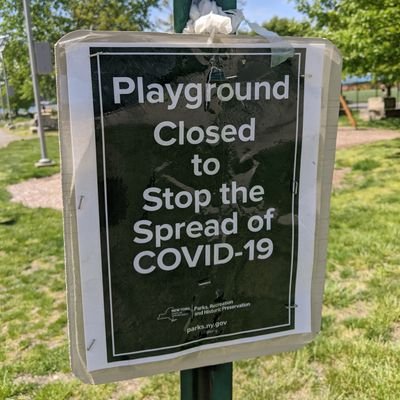 bookoftrees1's profile picture. test for now