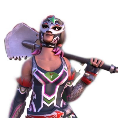 VexelFn Profile Picture