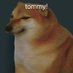 TommyTendies (@tommy_tendies) Twitter profile photo TommyTendies (@tommy_tendies) Twitter profile photo
