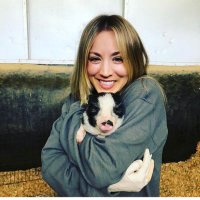 Kaley Cuoco fan 💖 (@kaleycuoco_xo) 's Twitter Profile Photo