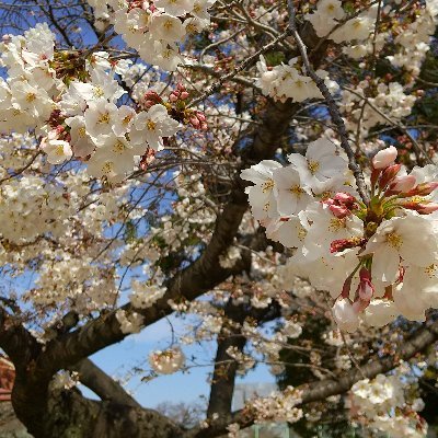 「学校・教育関係」を中心とした、2chでの気になる記事、面白いと感じた記事を扱うまとめブログです。まとめながら自分も色々なことを知ることができたらと思っています。