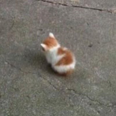 rei00genesis's profile picture. I drive eva 01.