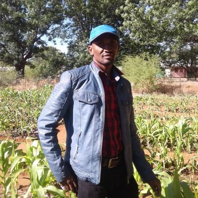 DMos93646946's profile picture. Simple and elegant