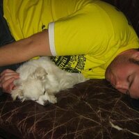 Travis Ickes (@trickes10) 's Twitter Profile