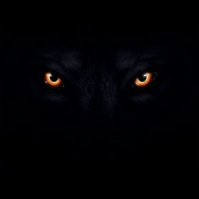 KAGfonyuy's profile picture. Family...honesty...loyalty...respect