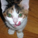 Aaron Ledger - @swoon_ - Twitter