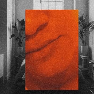 oxedispdd's profile picture. Nem sei oq tô fazendo aqui vejam o meu 
privacy
https://t.co/lnef5dKIGp