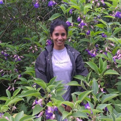 Busy with plants 🌳🌲🌿🍃🌾|
Research Scholar at NIPGR | Interests: Plant Stress Biology | Epigenetics | small RNAs