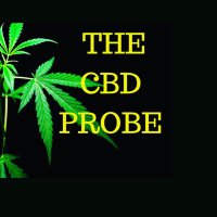 The CBD Probe(@CbdProbe) 's Twitter Profile Photo