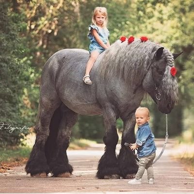 TheAdedotun's profile picture. Je suis la prunelle des yeux du Seigneur

💎🎥🎬📹🏷💰💙⚽️