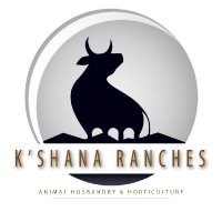 K'Shana Ranches(@C_Munakandafa) 's Twitter Profile Photo