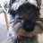rijuo's profile image