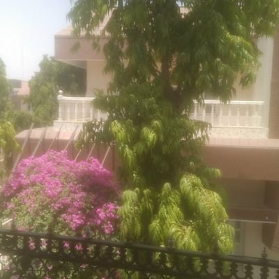 IshwarSinghDe19's profile picture. Advocate, Magh Colony Bhinmal Dist. Jalore Raj. 343029