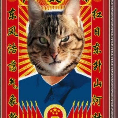 resident cat of meow Zedong meowsoleum.  Long live the CCP