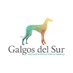 Galgos del sur (@GalgosDelSur) Twitter profile photo