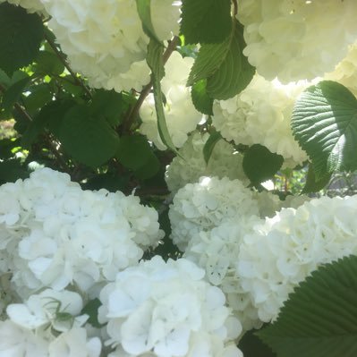 YJhw7zF7KsFISP7's profile picture. 