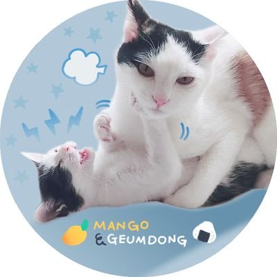 망고금동 Profile