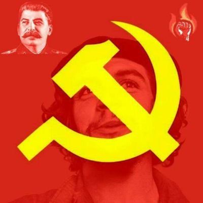 Francomunista Profile Picture