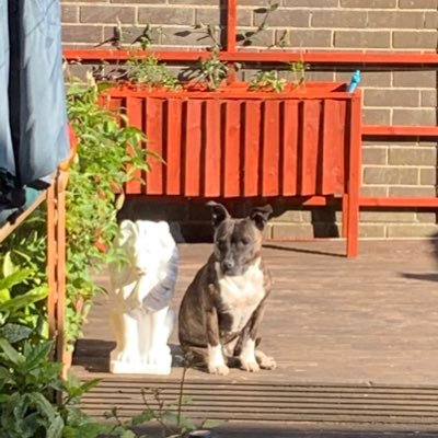 markswe49875946's profile picture. Cool,calm,collected😎not