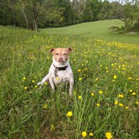 @maryterri (@marytheresatok1) 's Twitter Profile
