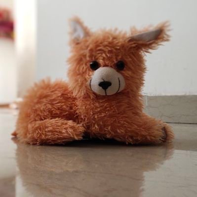 coolkumar420's profile picture. 