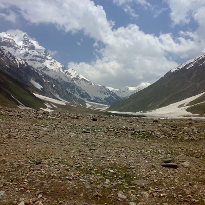 warzonad's profile picture. 