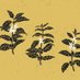 Plants in History (@historyplants) Twitter profile photo Plants in History (@historyplants) Twitter profile photo