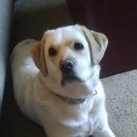 Charles Dennett (@charlesdennett) 's Twitter Profile Photo