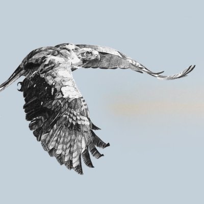 Jarvieさんのプロフィール画像