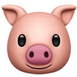 RT Pig 🐷