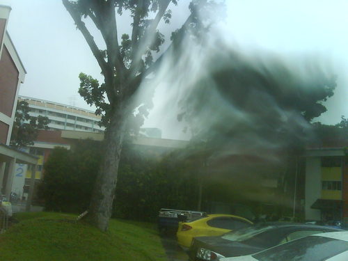 wtfconglol's profile picture. My randomness