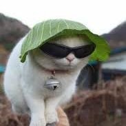 SoyPeterr's profile picture. IGN : Peeteerr | Discord : peeteerr#4660 | 15yo |