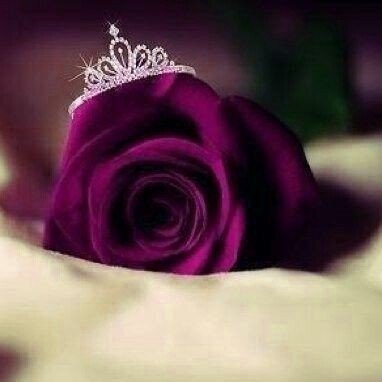 _repenting_soul's profile picture. 