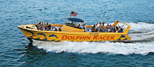 Enjoy a high-speed ride with dolphins & narrated cruise of the scenic waterways surrounding the beautiful gulf beaches!