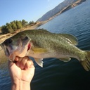 robin oh - @castaiclakelove - Twitter