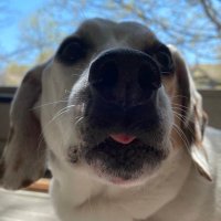 Chum | Michael Moening (@chummychum18) 's Twitter Profile